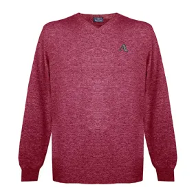 Aquascutum Mens Long Sleeved/V-Neck Knitwear Jumper with Logo in Red