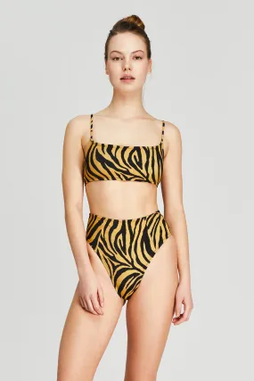 Colorful Zebra Women's Bikini Bottoms