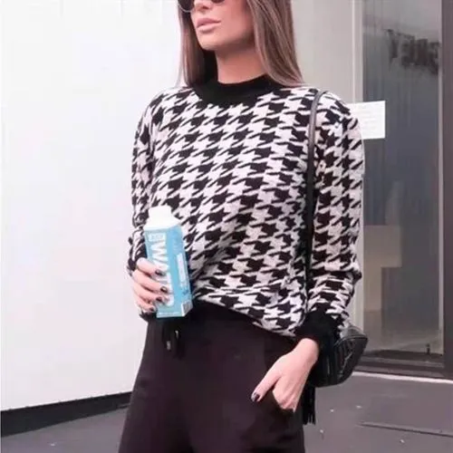 Women's Sweater Long Sleeve Sweaters & Cardigans Casual Houndstooth