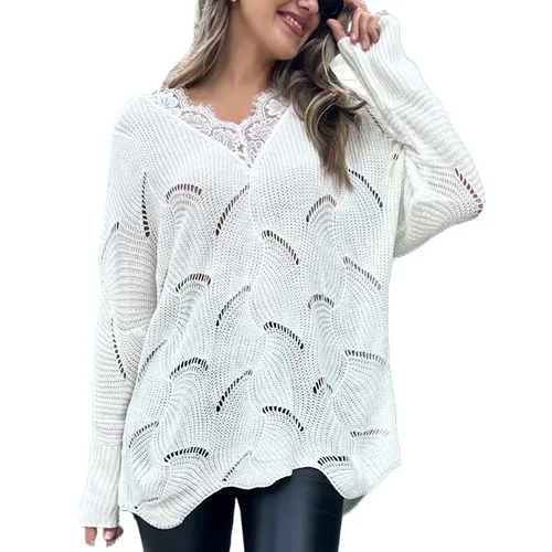 Women's Sweater Long Sleeve Sweaters & Cardigans Lace Hollow Out Casual Elegant Solid Color