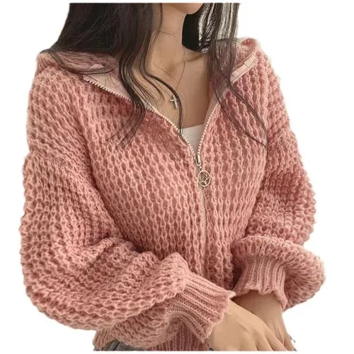 Women's Sweater Long Sleeve Sweaters & Cardigans Zipper Casual Simple Style Solid Color